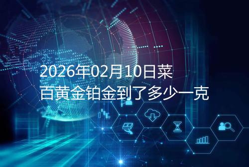 2026年02月10日菜百黄金铂金到了多少一克