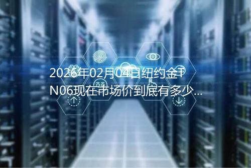 2026年02月04日纽约金TN06现在市场价到底有多少元一克