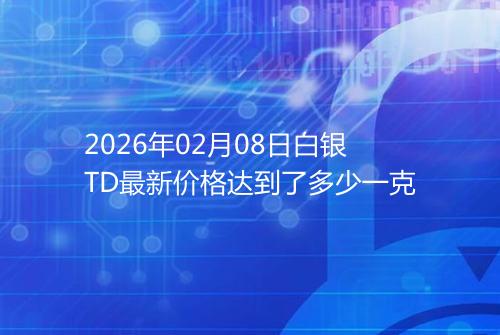 2026年02月08日白银TD最新价格达到了多少一克