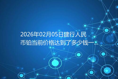 2026年02月05日建行人民币铂当前价格达到了多少钱一克