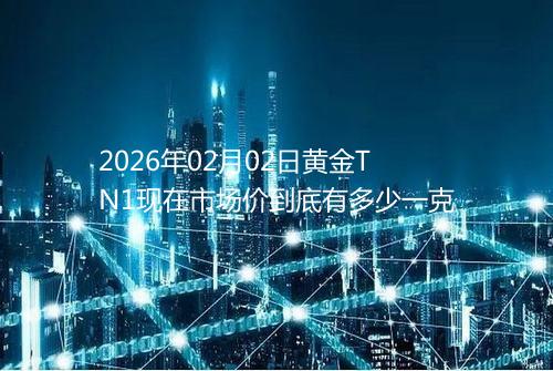 2026年02月02日黄金TN1现在市场价到底有多少一克