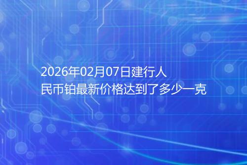 2026年02月07日建行人民币铂最新价格达到了多少一克