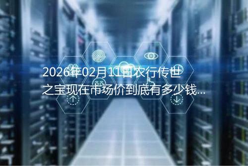 2026年02月11日农行传世之宝现在市场价到底有多少钱一克