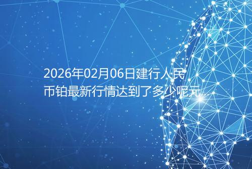 2026年02月06日建行人民币铂最新行情达到了多少呢元一克