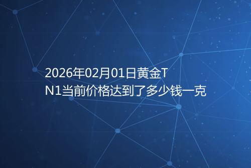 2026年02月01日黄金TN1当前价格达到了多少钱一克