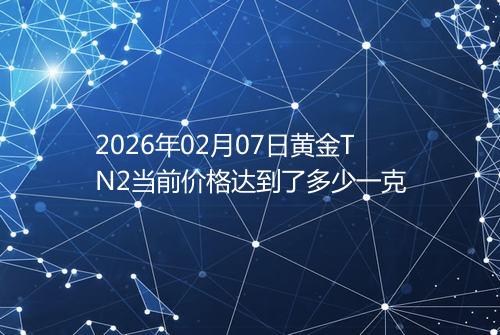 2026年02月07日黄金TN2当前价格达到了多少一克