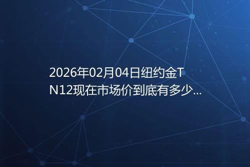 2026年02月04日纽约金TN12现在市场价到底有多少元一克