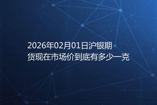2026年02月01日沪银期货现在市场价到底有多少一克