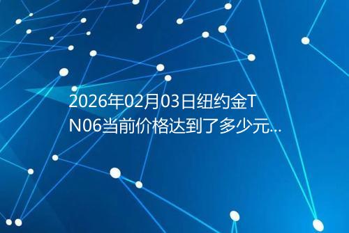 2026年02月03日纽约金TN06当前价格达到了多少元一克