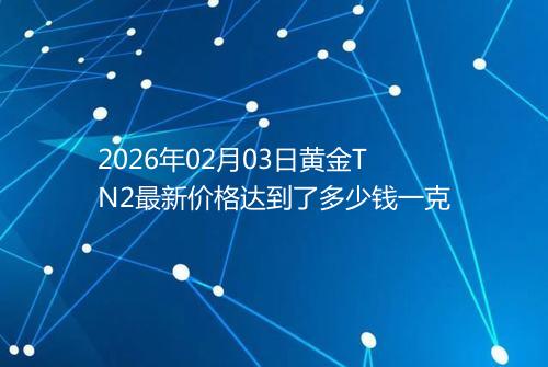 2026年02月03日黄金TN2最新价格达到了多少钱一克