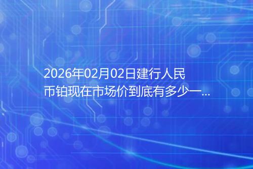 2026年02月02日建行人民币铂现在市场价到底有多少一克