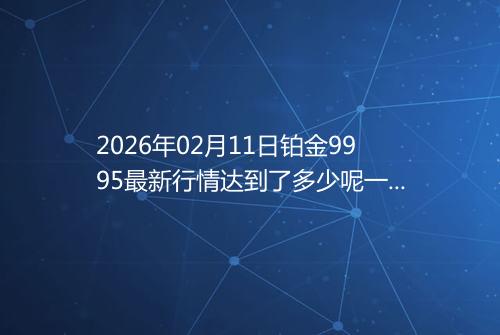 2026年02月11日铂金9995最新行情达到了多少呢一克