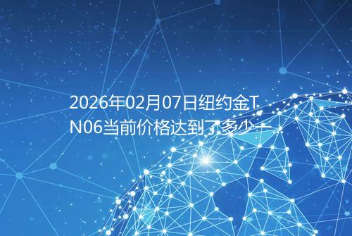 2026年02月07日纽约金TN06当前价格达到了多少一克