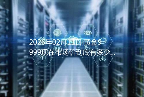 2026年02月11日i黄金9999现在市场价到底有多少元一克