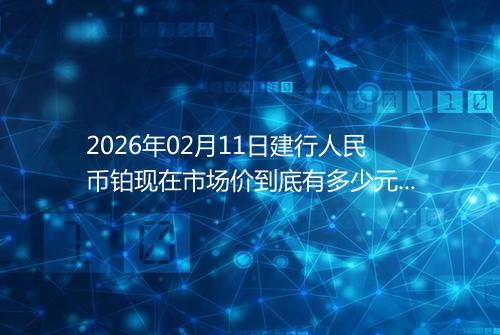 2026年02月11日建行人民币铂现在市场价到底有多少元一克