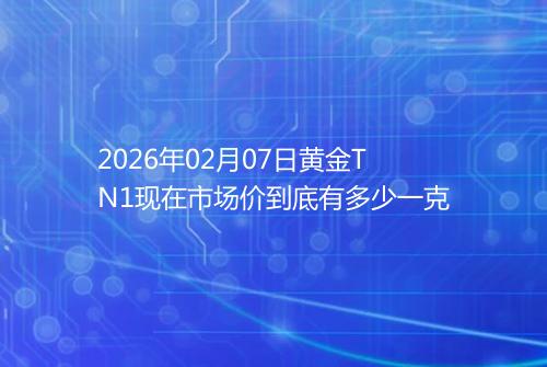 2026年02月07日黄金TN1现在市场价到底有多少一克