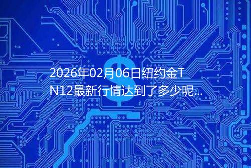 2026年02月06日纽约金TN12最新行情达到了多少呢元一克