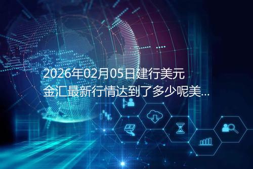 2026年02月05日建行美元金汇最新行情达到了多少呢美元一盎司