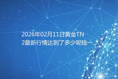 2026年02月11日黄金TN2最新行情达到了多少呢钱一克