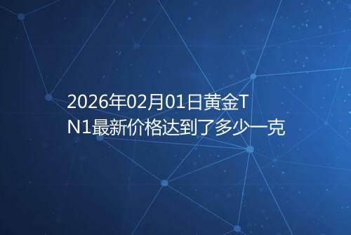 2026年02月01日黄金TN1最新价格达到了多少一克
