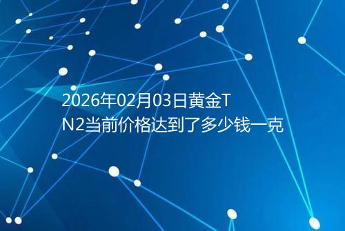 2026年02月03日黄金TN2当前价格达到了多少钱一克