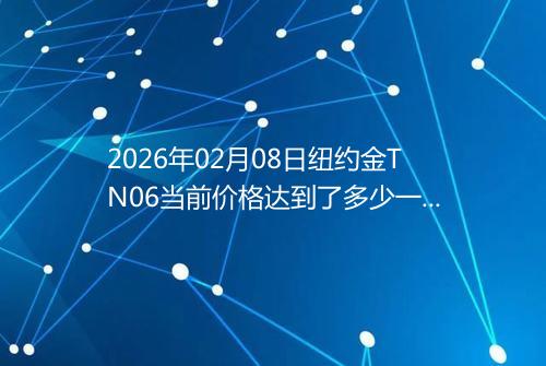 2026年02月08日纽约金TN06当前价格达到了多少一克