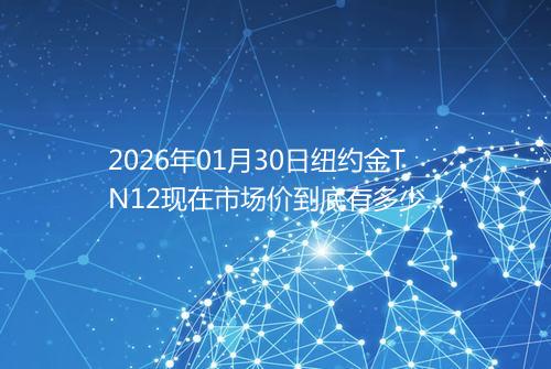 2026年01月30日纽约金TN12现在市场价到底有多少一克