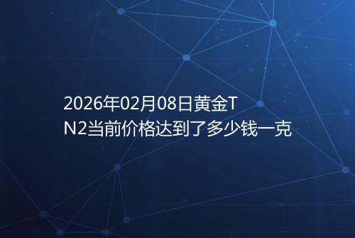 2026年02月08日黄金TN2当前价格达到了多少钱一克