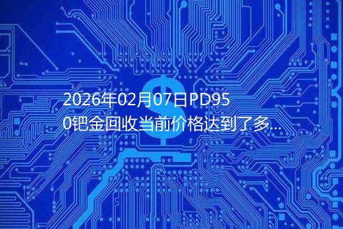 2026年02月07日PD950钯金回收当前价格达到了多少元一克