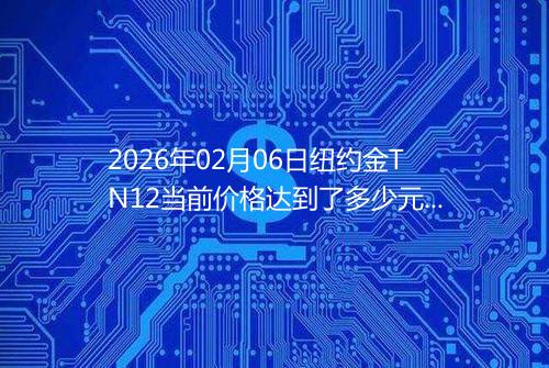 2026年02月06日纽约金TN12当前价格达到了多少元一克