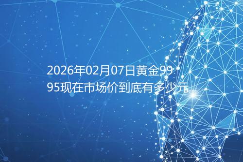 2026年02月07日黄金9995现在市场价到底有多少元一克