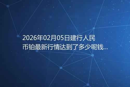 2026年02月05日建行人民币铂最新行情达到了多少呢钱一克