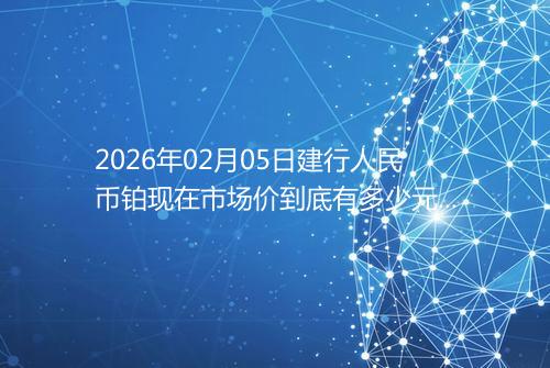2026年02月05日建行人民币铂现在市场价到底有多少元一克