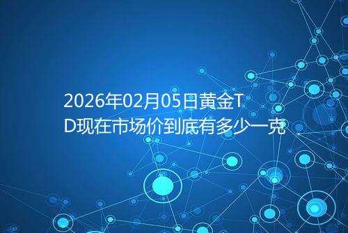 2026年02月05日黄金TD现在市场价到底有多少一克
