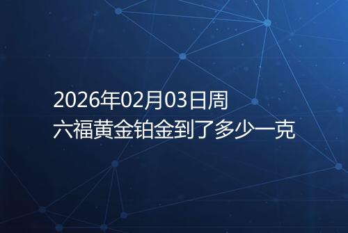 2026年02月03日周六福黄金铂金到了多少一克