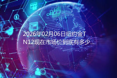 2026年02月06日纽约金TN12现在市场价到底有多少一克