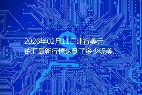 2026年02月11日建行美元铂汇最新行情达到了多少呢美元一盎司