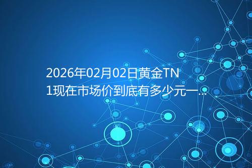 2026年02月02日黄金TN1现在市场价到底有多少元一克