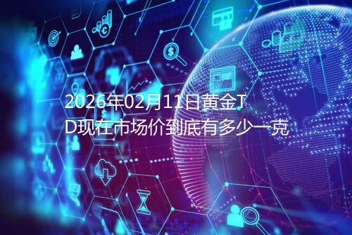 2026年02月11日黄金TD现在市场价到底有多少一克