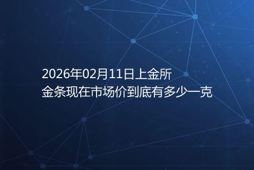 2026年02月11日上金所金条现在市场价到底有多少一克