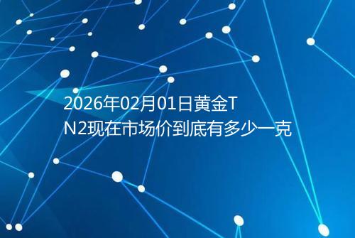 2026年02月01日黄金TN2现在市场价到底有多少一克