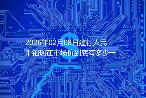 2026年02月08日建行人民币铂现在市场价到底有多少一克