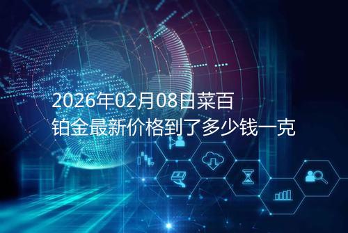 2026年02月08日菜百铂金最新价格到了多少钱一克