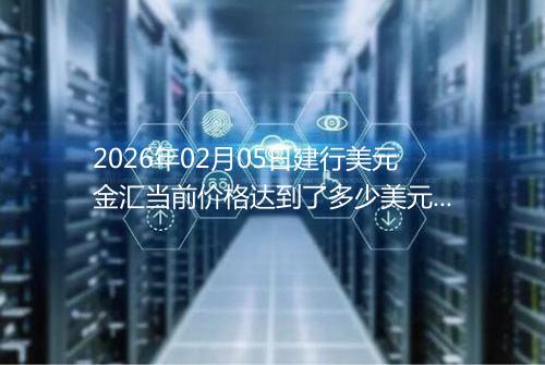 2026年02月05日建行美元金汇当前价格达到了多少美元一盎司