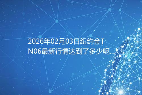 2026年02月03日纽约金TN06最新行情达到了多少呢元一克