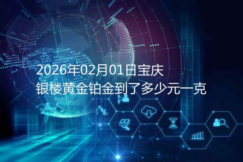 2026年02月01日宝庆银楼黄金铂金到了多少元一克