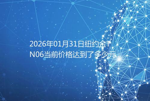 2026年01月31日纽约金TN06当前价格达到了多少元一克