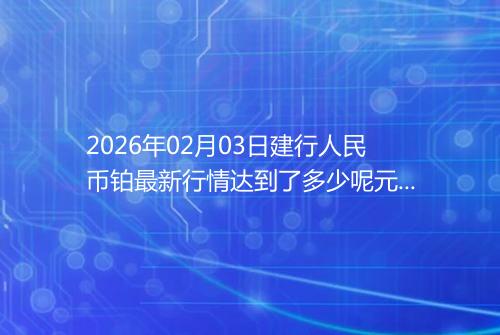 2026年02月03日建行人民币铂最新行情达到了多少呢元一克