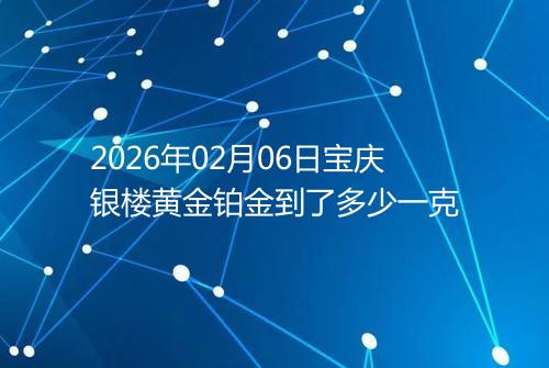 2026年02月06日宝庆银楼黄金铂金到了多少一克