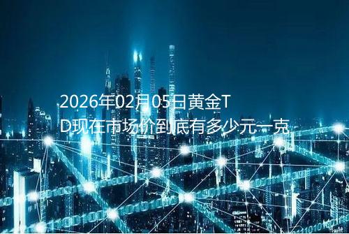 2026年02月05日黄金TD现在市场价到底有多少元一克
